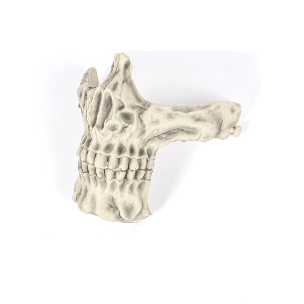 Laylax Skull Series Face Guard
